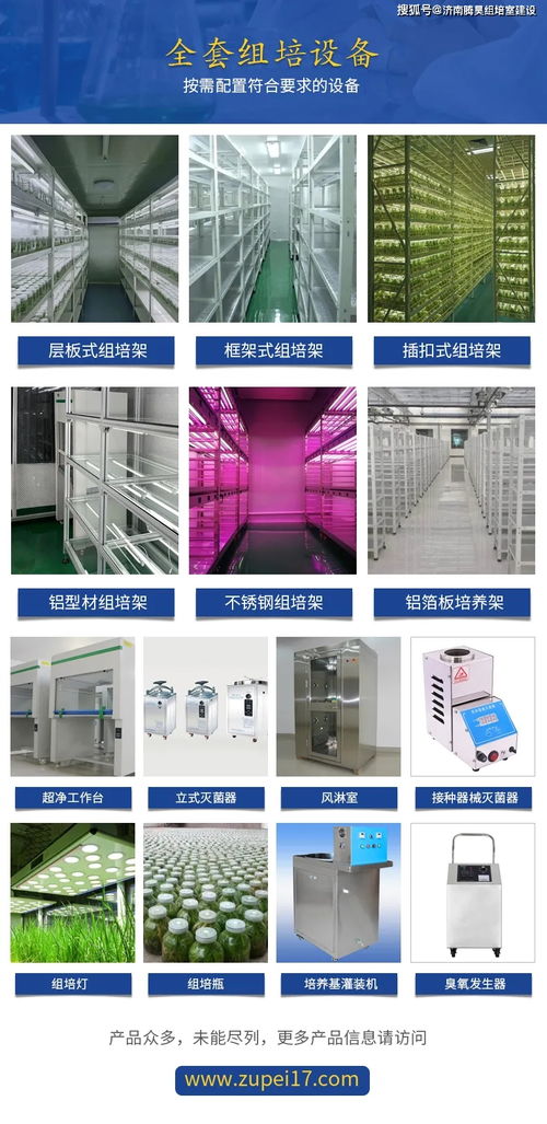 植物光源LED燈與熒光燈 技術(shù)特點與推廣策略