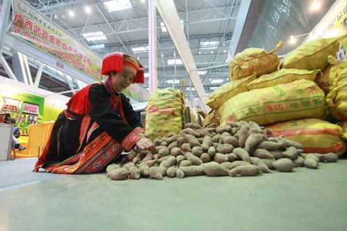 2019柳州農博會 萬種珍品薈萃，盡顯現(xiàn)代農業(yè)風采