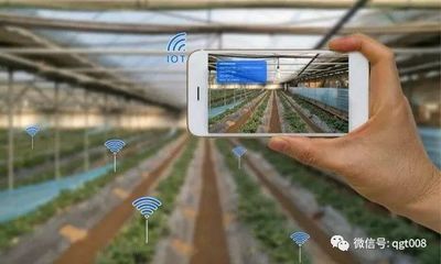 江蘇省數字農業(yè)農村工作要點發(fā)布，農業(yè)培育迎來新機遇