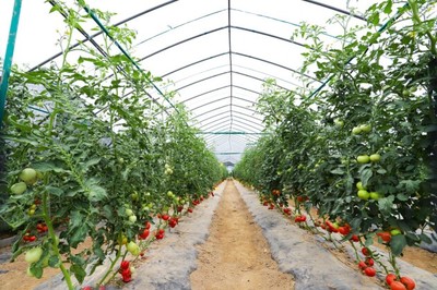 基地春耕忙，彩食鮮訂單農業迎蓬勃發展